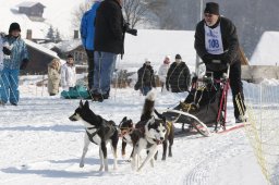 Lenk 2012 SM